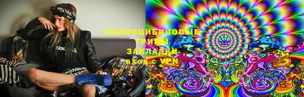 шишки Ельня