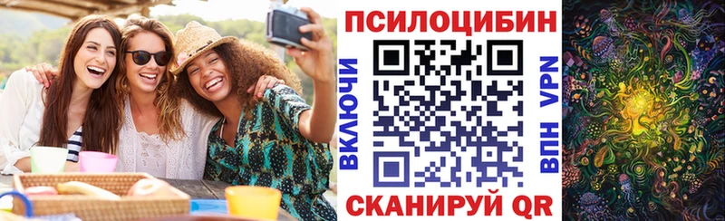 где найти наркотики  маркетплейс как зайти  Галлюциногенные грибы мицелий  Никольск 